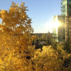 Meet your Posher, Debora